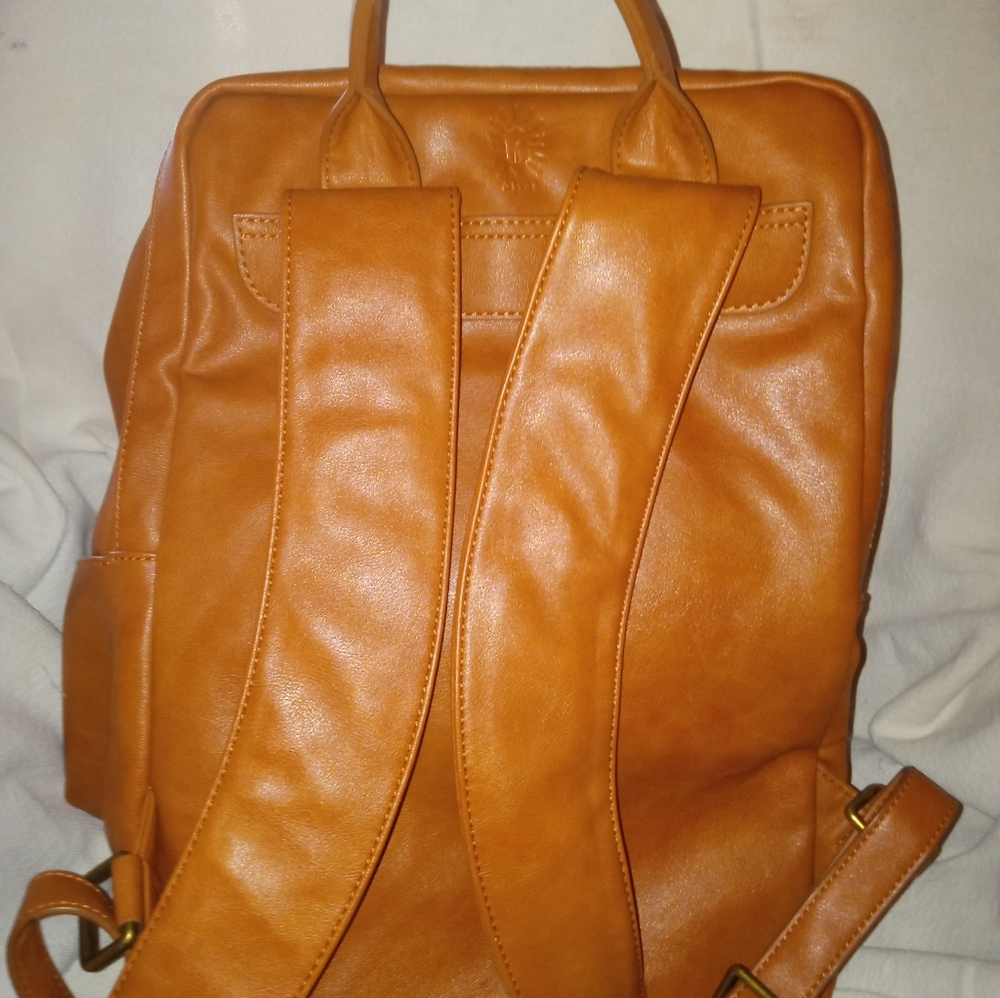 Atlas leather camera case or back pack. - Picture 4 of 4